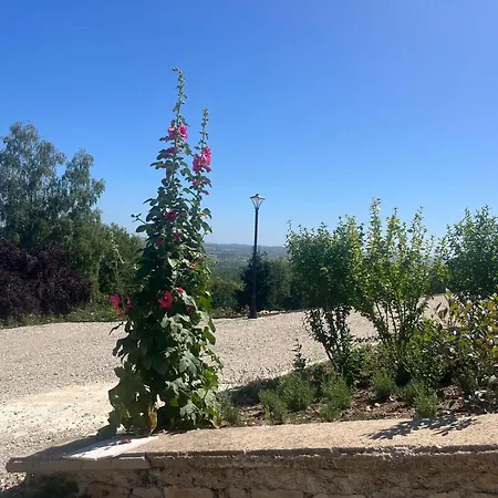 Manoir Calmeer * Thenon